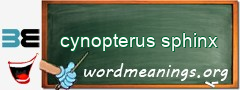 WordMeaning blackboard for cynopterus sphinx